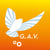 G.A.V. Gestion Administrative Virtuelle Sàrl et Inc.
